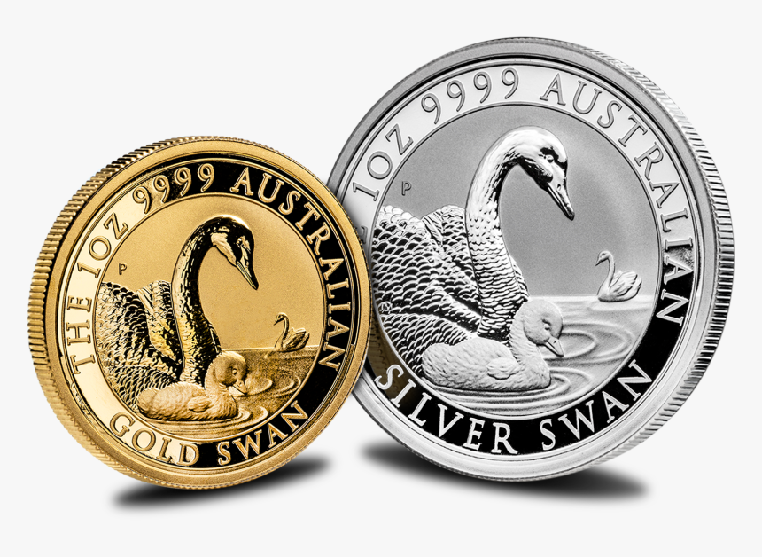 Png Schwan 2019 Silber, Transparent Png