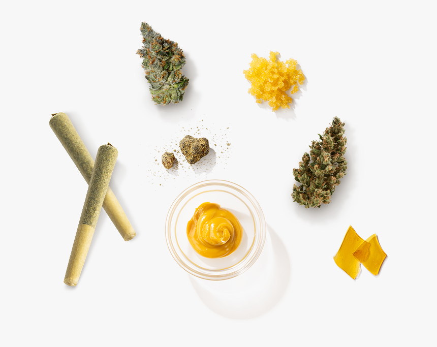 Christmas Tree, HD Png Download