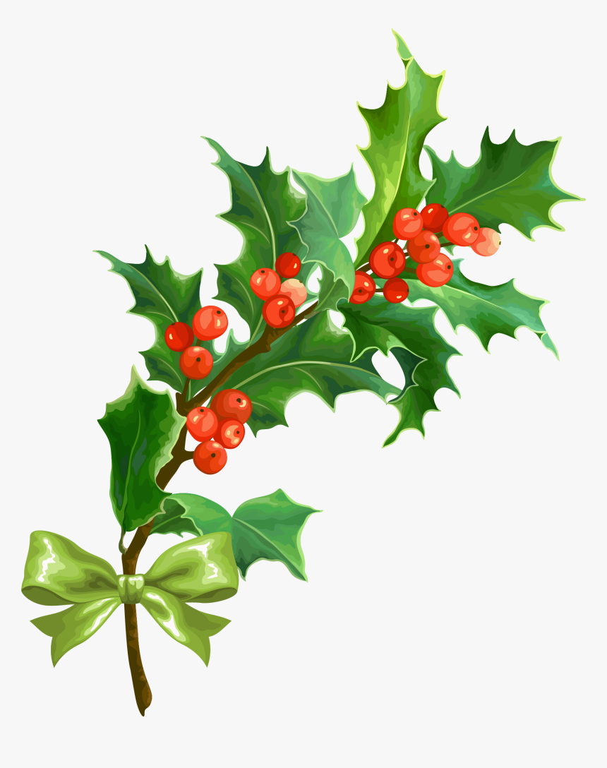 Holly Png Transparent Christmas Holly Leaf Png, Png Download