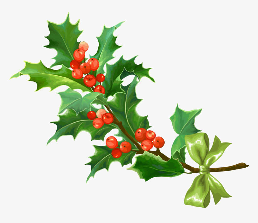 Currant, HD Png Download