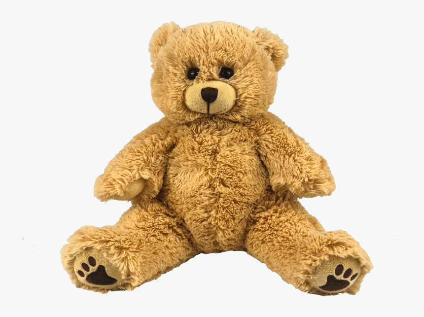 Baby Bear Png, Transparent Png
