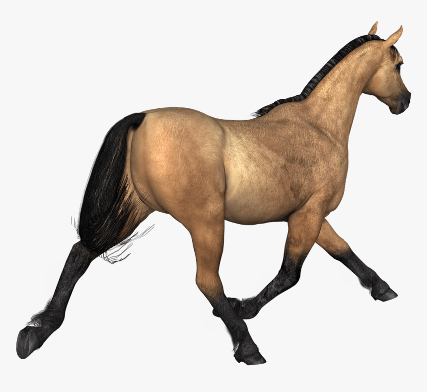 Transparent Stallion Clipart - 3d Horse Png, Png Download