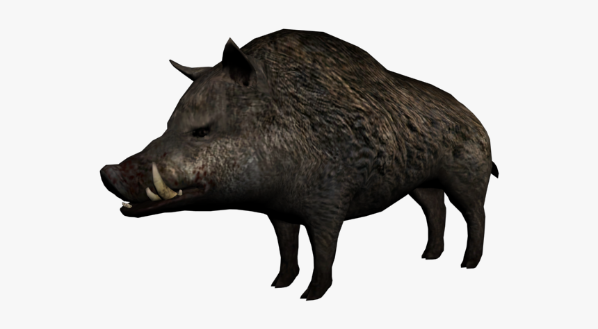 Кабан картинка пнг
