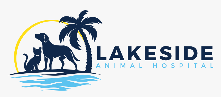 Lakeside Animal Hospital - Masai Lion, HD Png Download