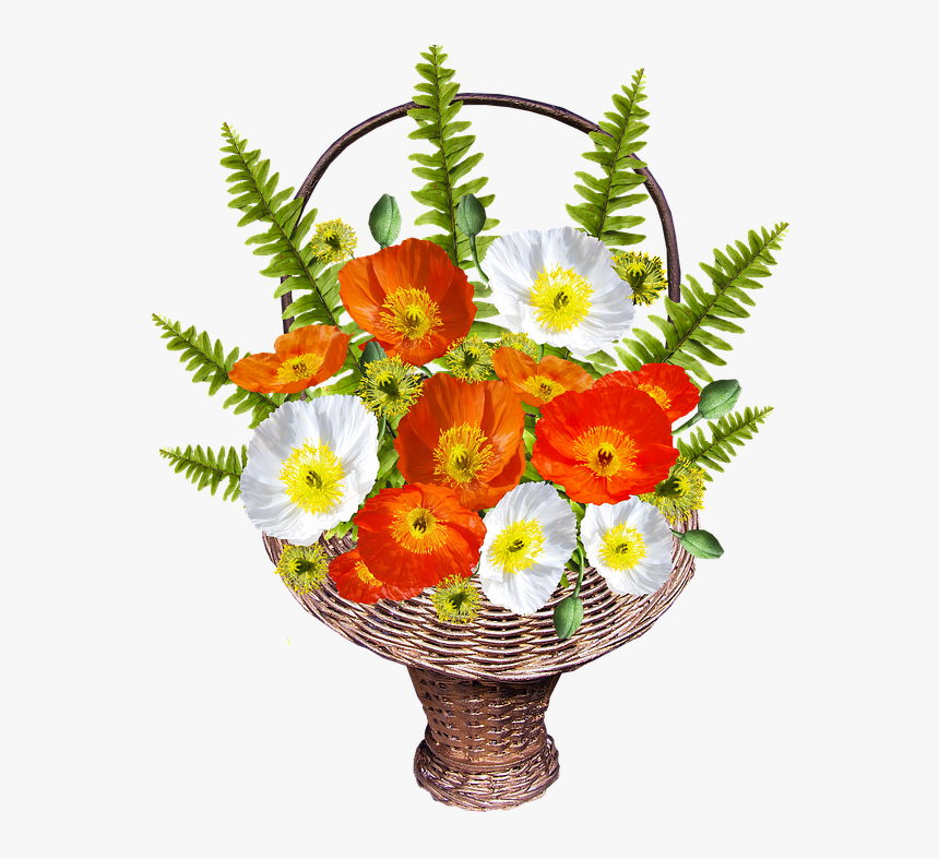 Cut Flowers, HD Png Download