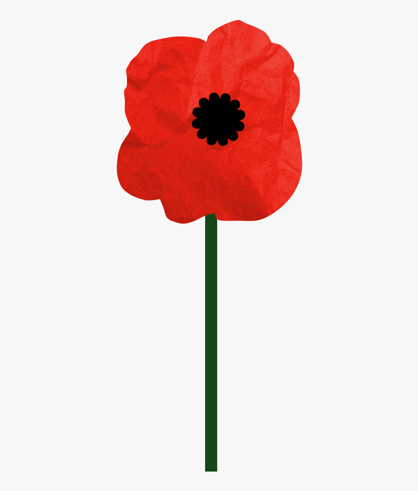 Poppy, HD Png Download