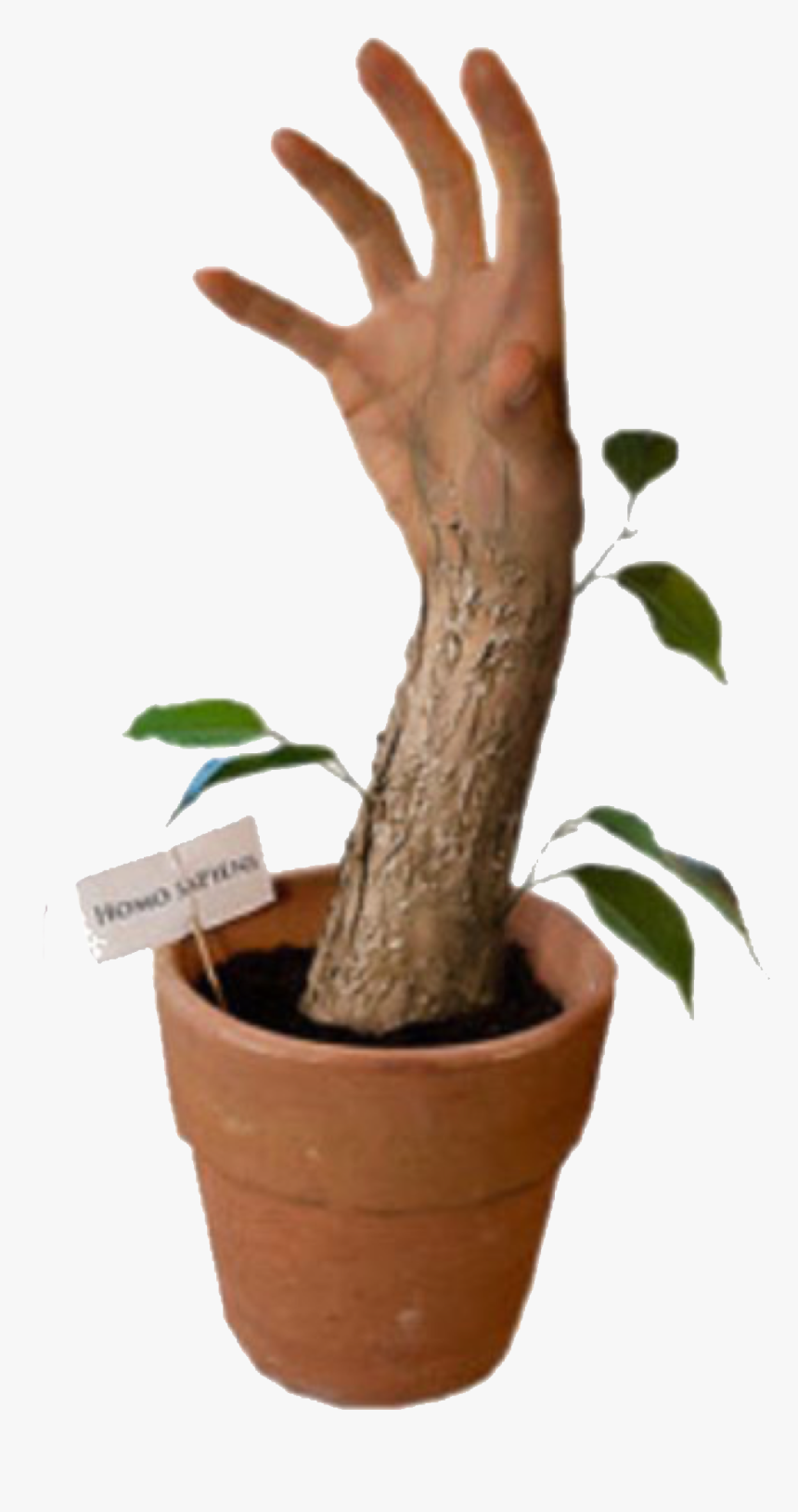 Erik Johansson, HD Png Download