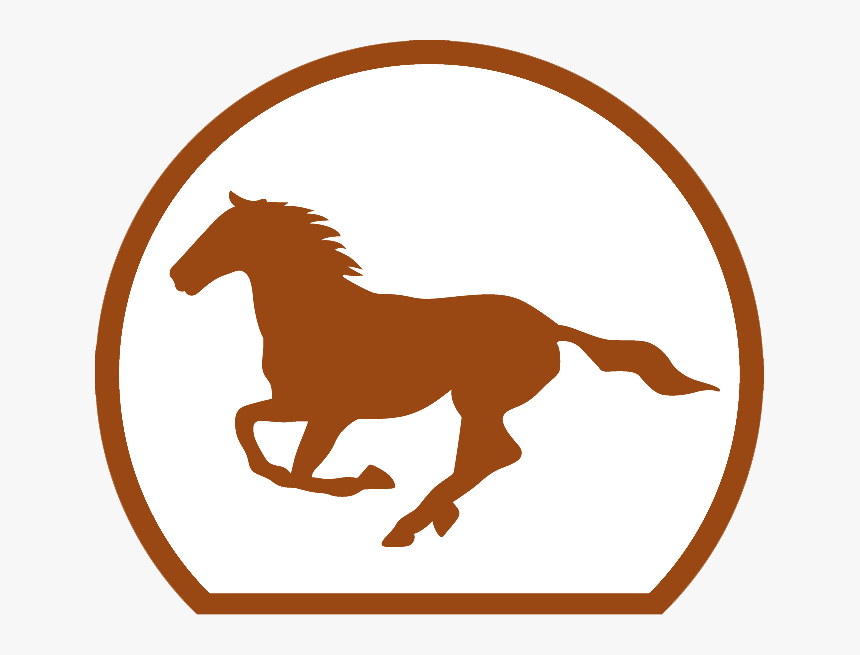 Winner - Horse - National Horseracing Authority, HD Png Download