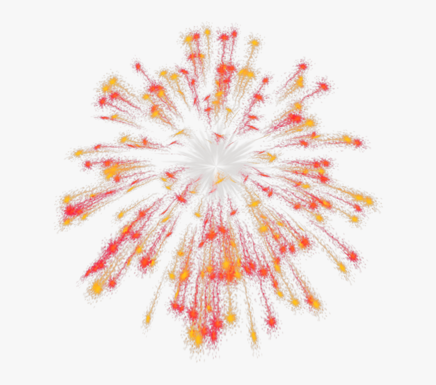 Fireworks Computer Animation Gimp Das Productions Inc - Floral Design, HD Png Download