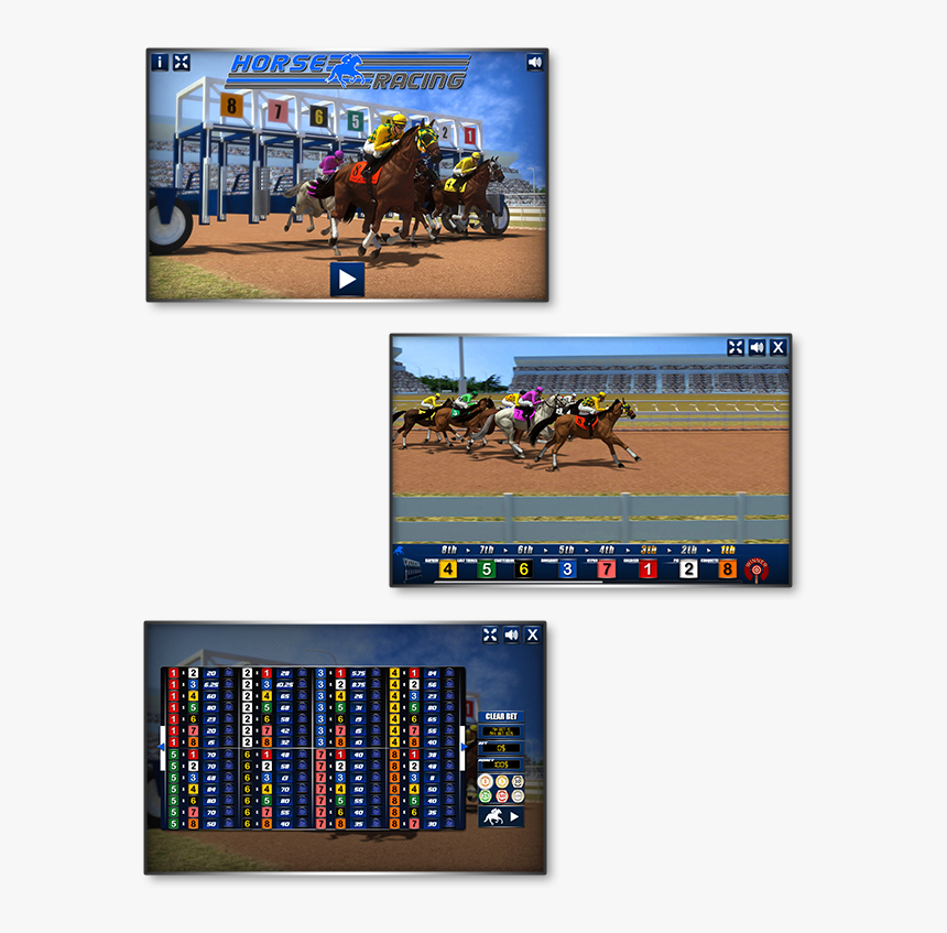 Stallion, HD Png Download