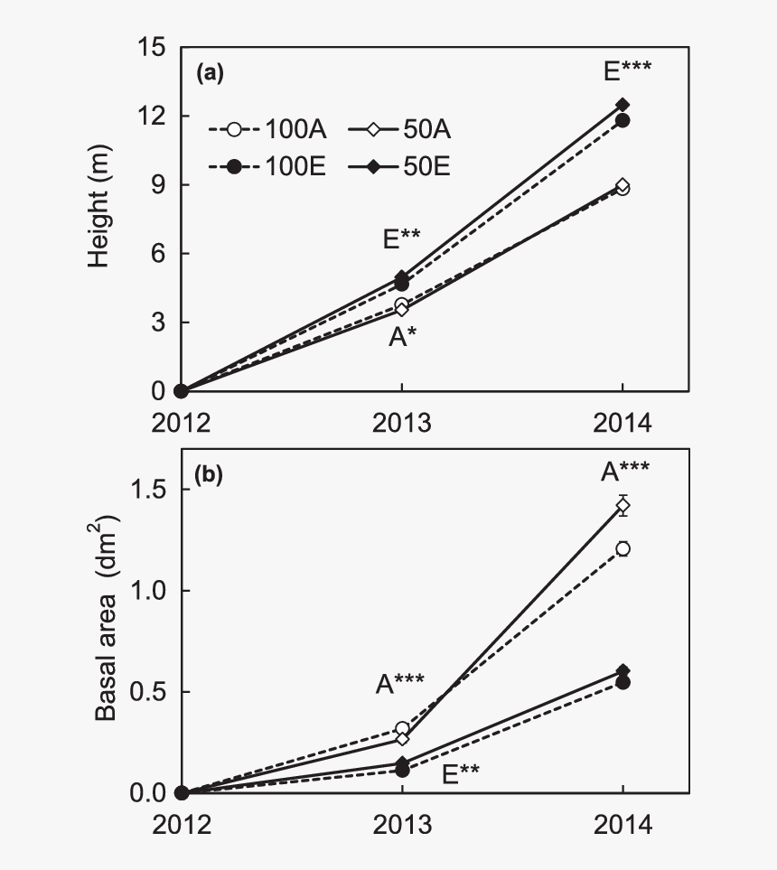 Diagram, HD Png Download