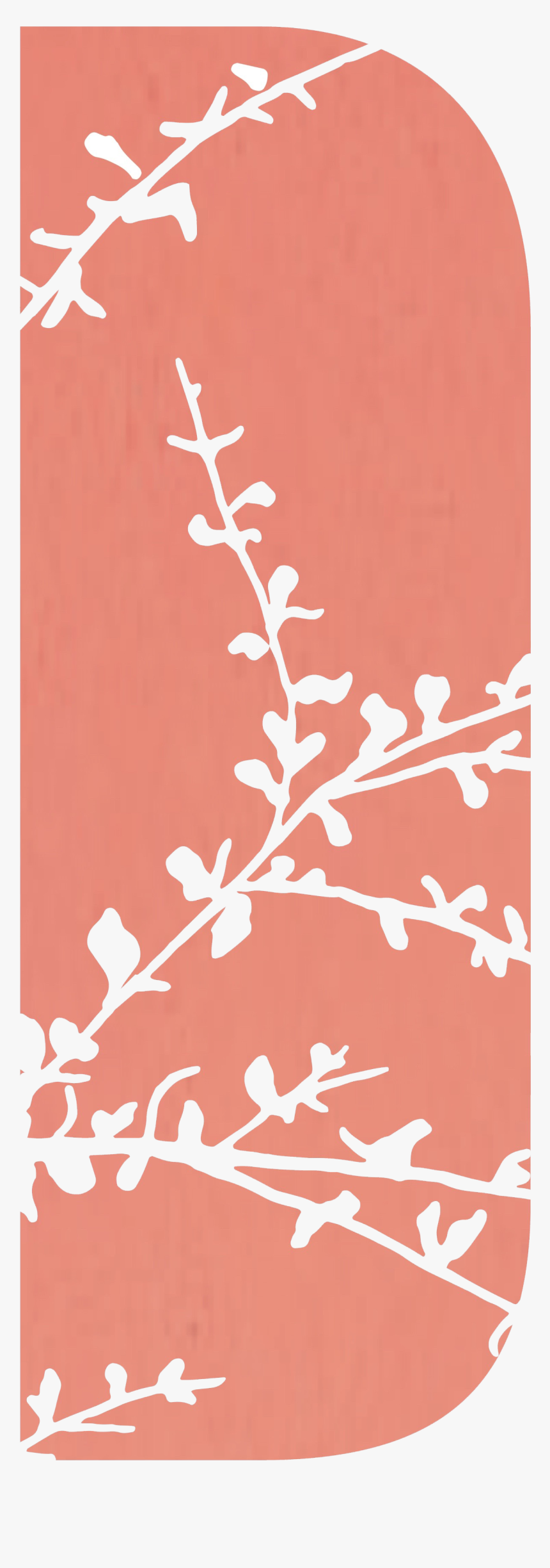 Acacia Silk 10 Ml, HD Png Download