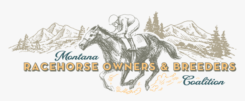 Horse Racing Png, Transparent Png
