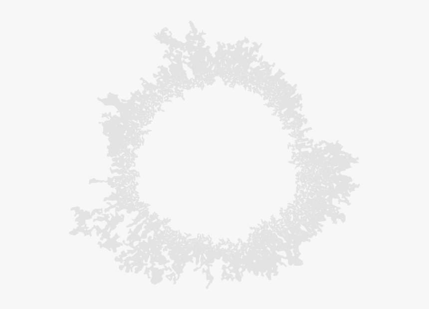 Circle, HD Png Download