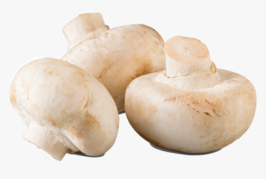 Mushroom Png Transparent Background - Mushroom Transparent, Png Download