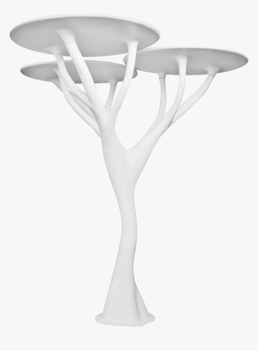 Enokitake, HD Png Download