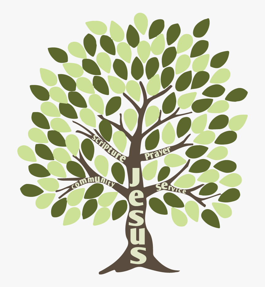 Holy Apostles Tree Clipart , Png Download - Illustration, Transparent Png