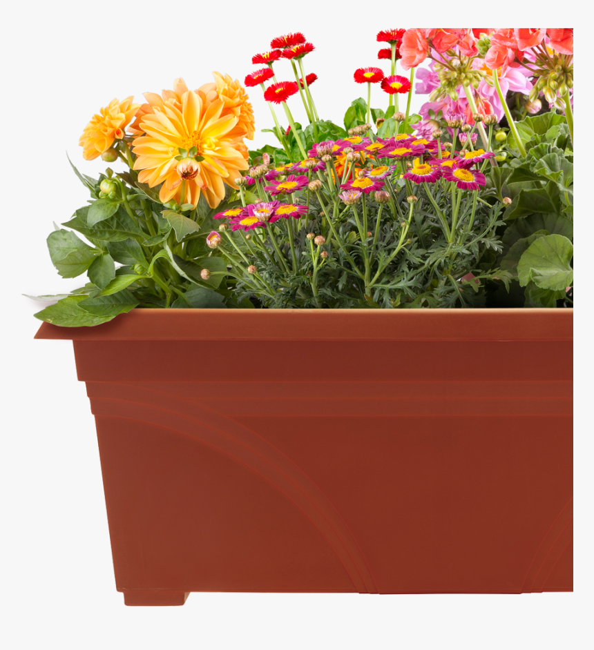 Pots Of Plants Png , Png Download - Flower Pots Images Png, Transparent Png