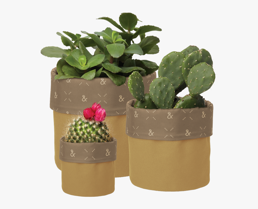 Flowerpot, HD Png Download