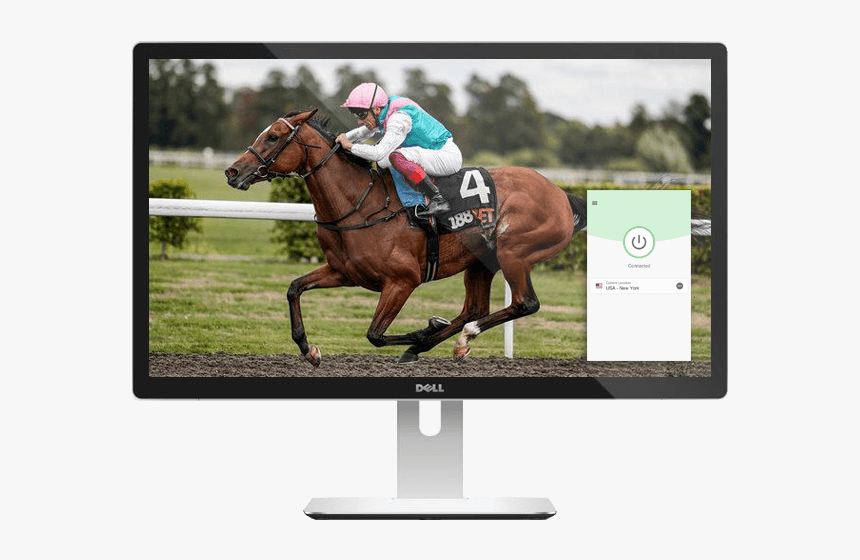 Watch Horse Racing Live On Any Device With Expressvpn - Enable Racehorse, HD Png Download