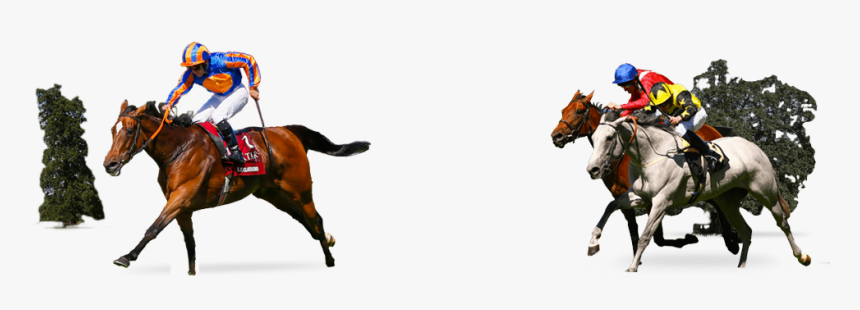 Horses Running In A Race - Steeplechase, HD Png Download