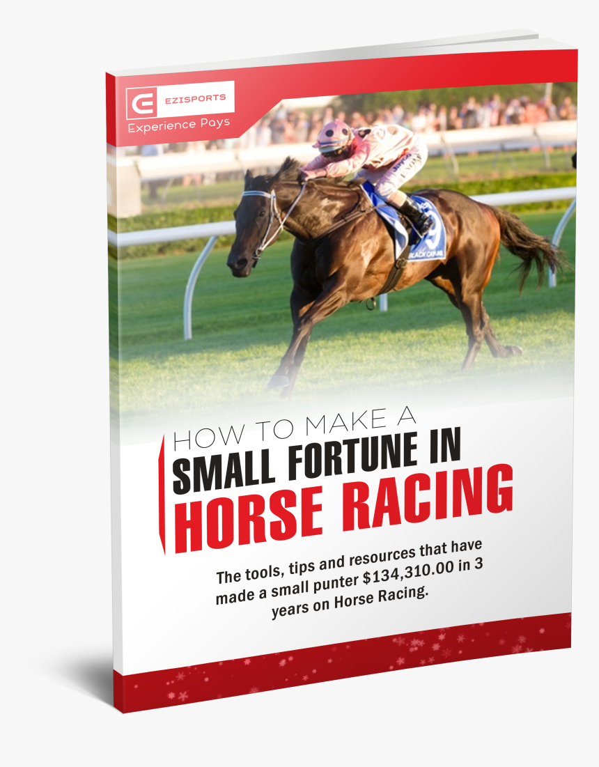 Guide To Betting On The Caulfield Cup - Stallion, HD Png Download