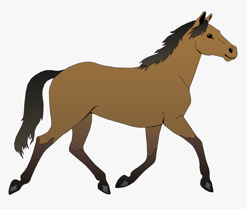 Cavalo, Brown, Garanhão, Raça Pura, Égua, Equino, Trote - Horse Clipart, HD Png Download