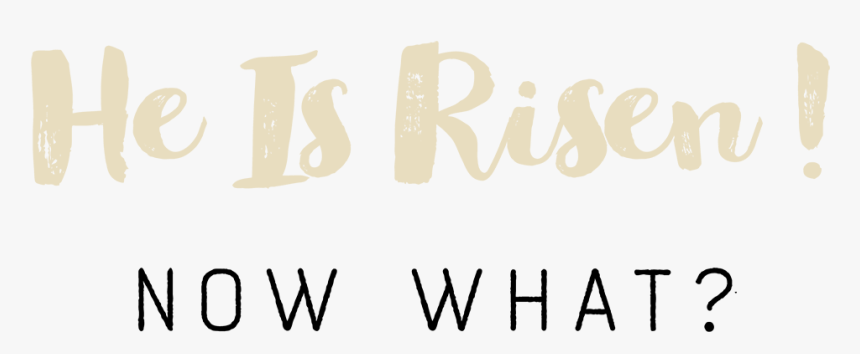 He Is Risen Now What - Calligraphy, HD Png Download