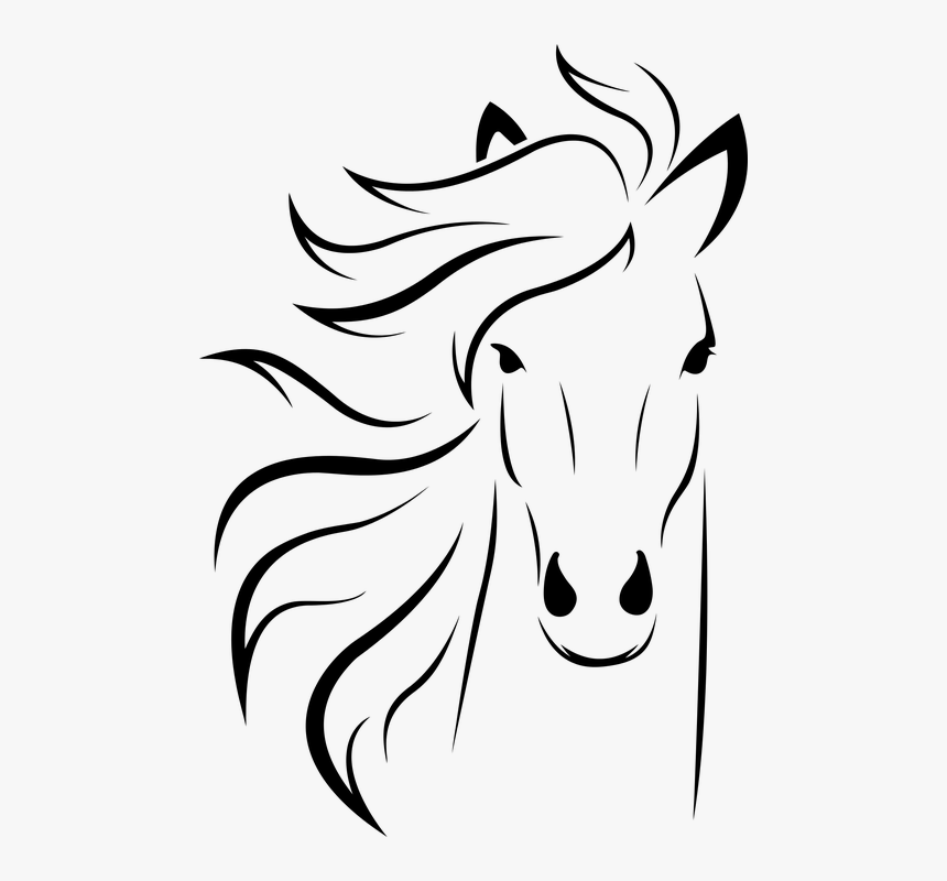 Line Art Horse, HD Png Download