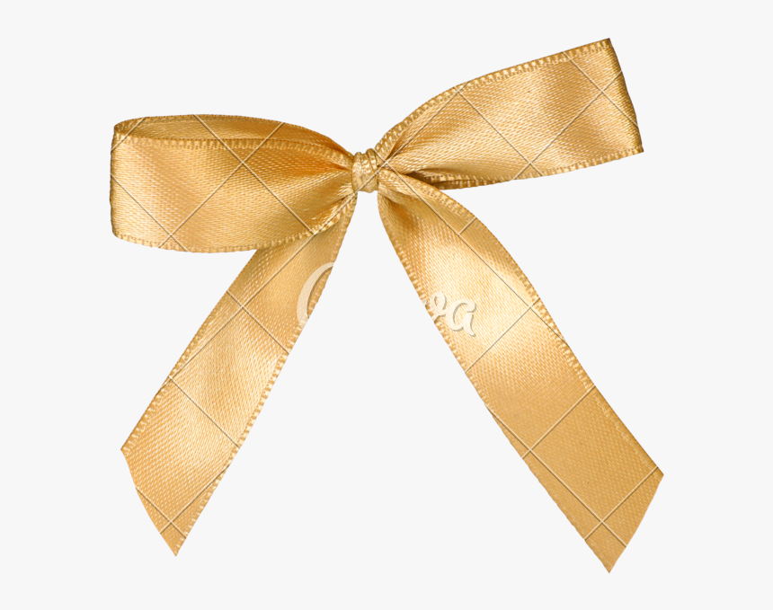 Transparent Gold Christmas Bow Png - Cores De Agosto 2019, Png Download