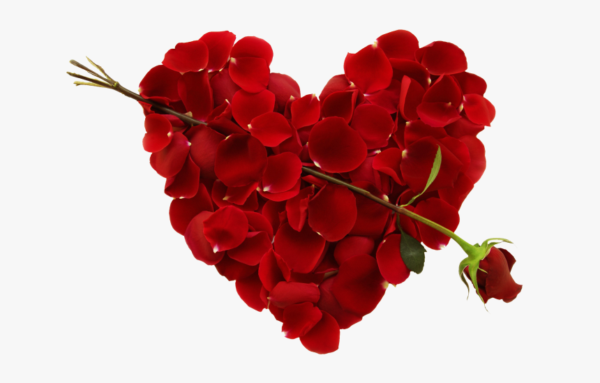 Heart Png - Red And Pink Hearts, Transparent Png