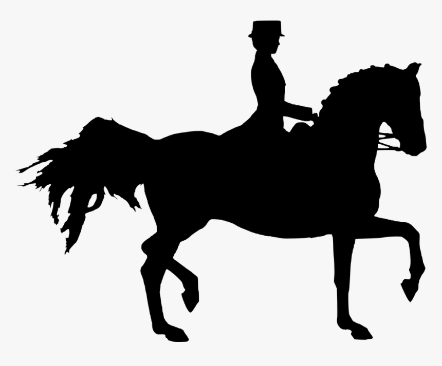 Silhouette, Horse, Sport, Chestnut, Horse Woman, Cutout - Häst Siluett, HD Png Download
