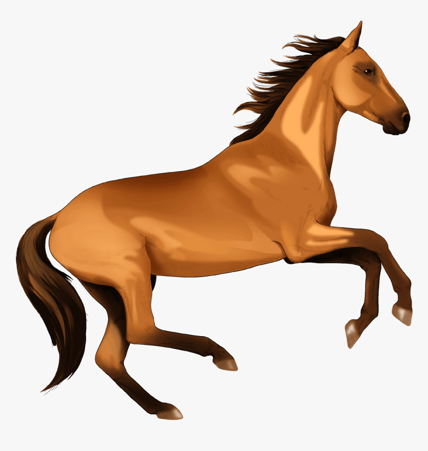 Stallion, HD Png Download