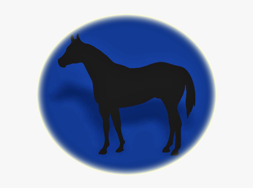 Stallion, HD Png Download
