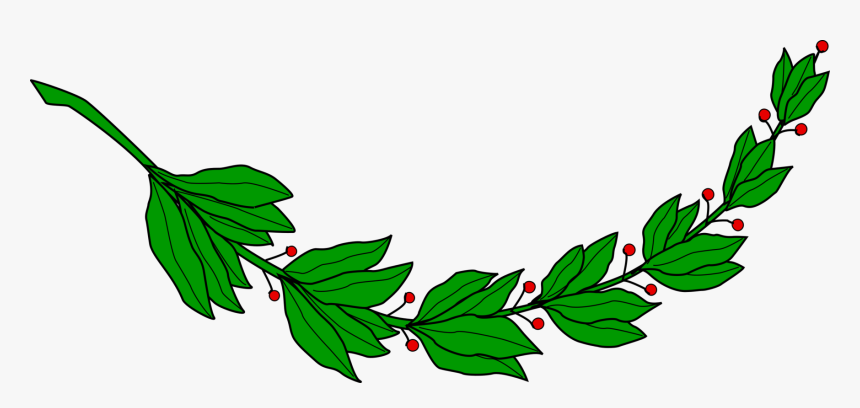 Plant,flower,leaf - Laureles Del Escudo De El Salvador, HD Png Download