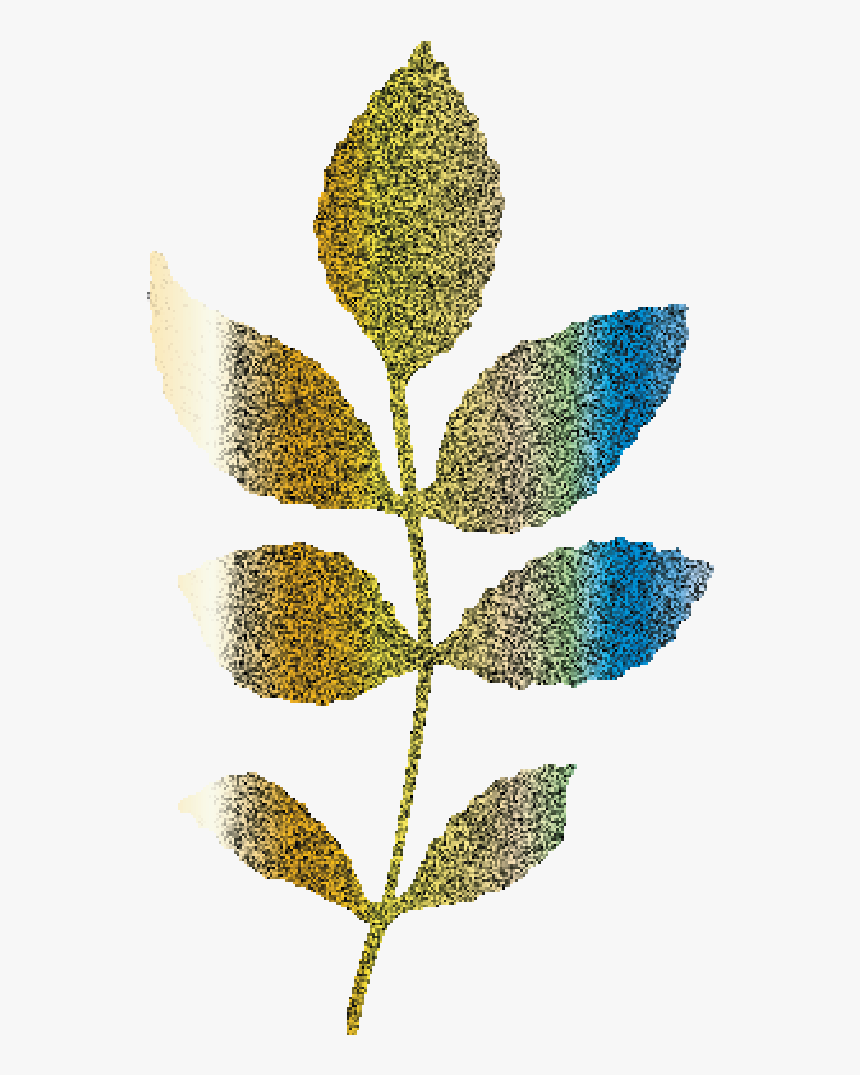 Glitter Golden Elegant Wedding Branch And Leafs Example - Pond Pine, HD Png Download