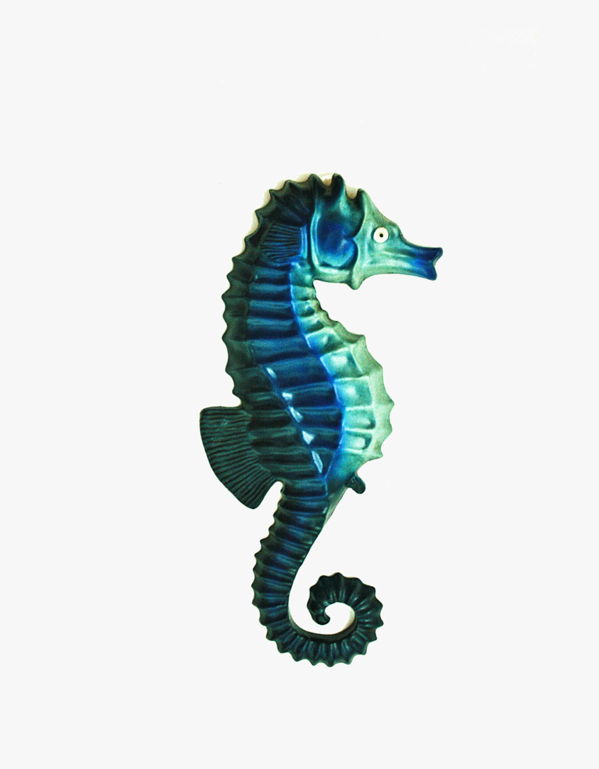 Cavalo Do Mar Png, Transparent Png