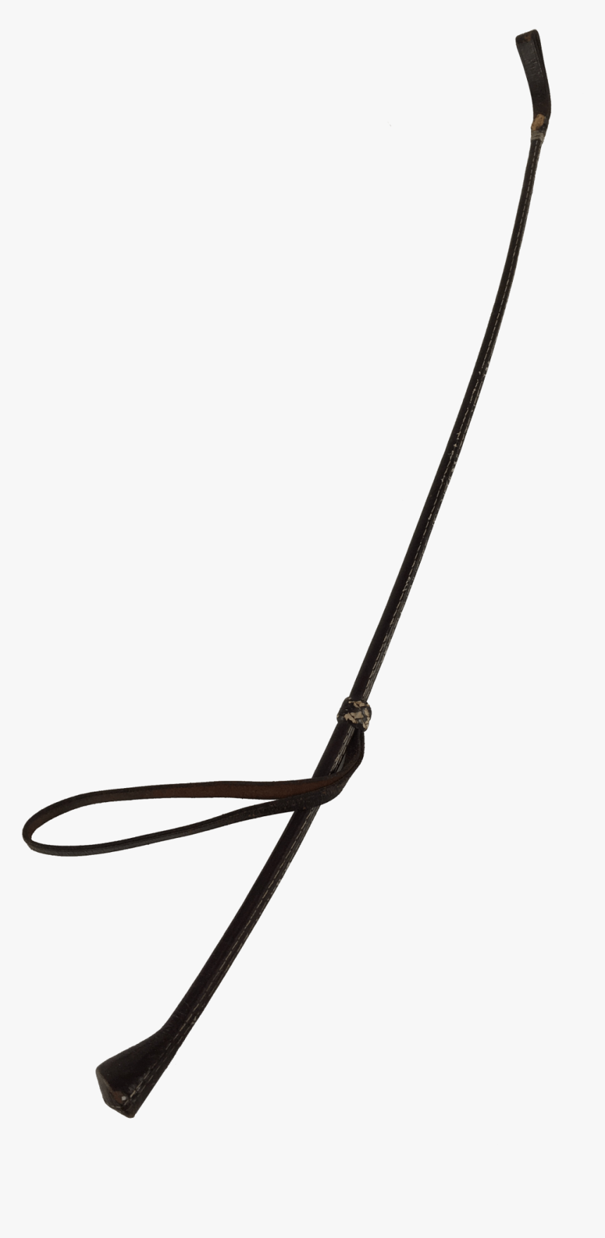 Chicote Antigo Couro Cavalo - Insect, HD Png Download
