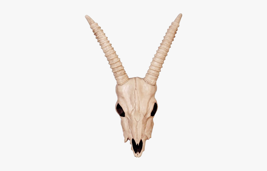 Gazelle Skull, HD Png Download