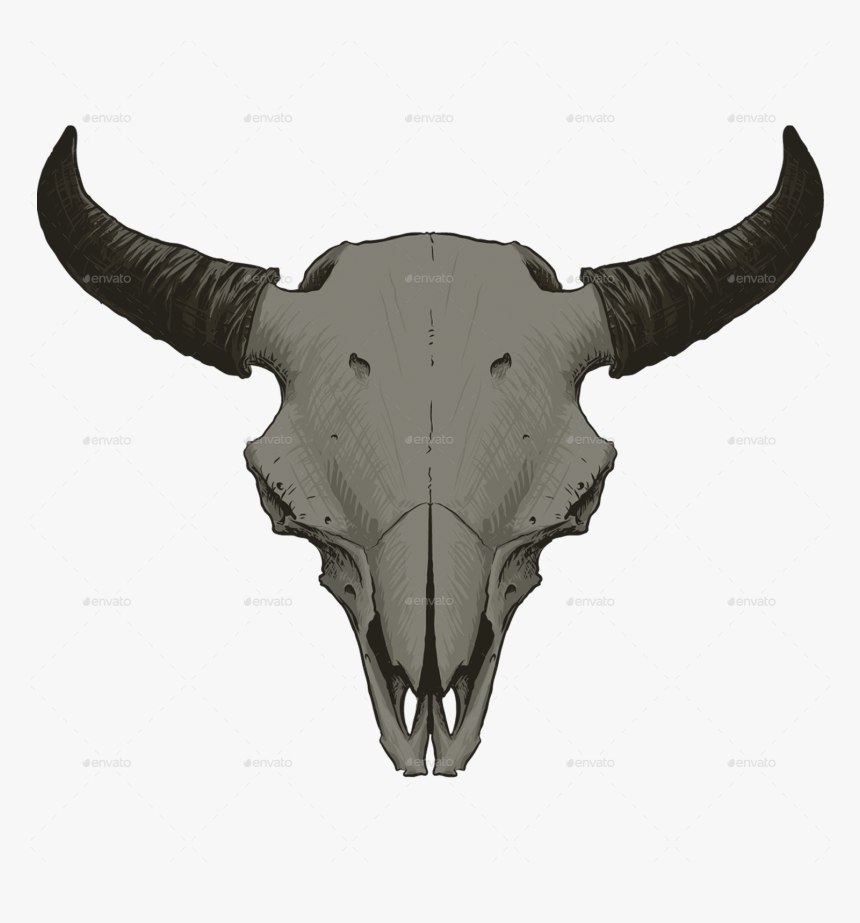 Bear Skull Png - Animal Skull Png Transparent Background, Png Download