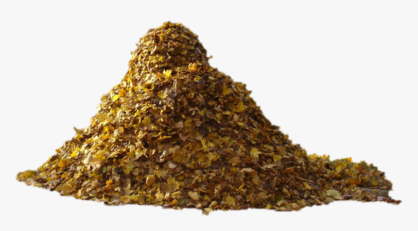 Pile Of Autumn Leaves Transparent Png - Tree, Png Download