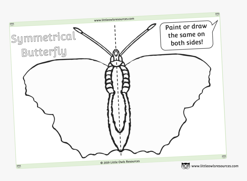 Symmetrical Blank Butterfly Sheet - Sketch, HD Png Download