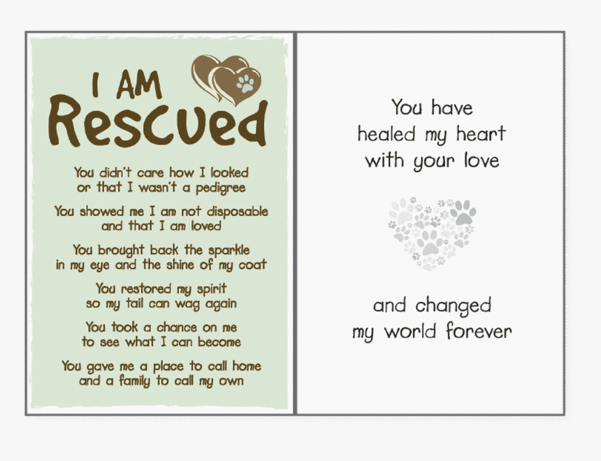 Transparent Eye Shine Png - Bodillaz, Png Download