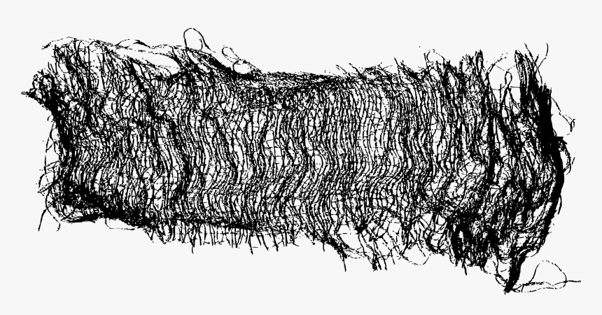 Sketch, HD Png Download