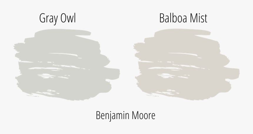 Gray Owl Next To Balboa Mist, Both Popular Neutral - White Paint Swatch Png, Transparent Png