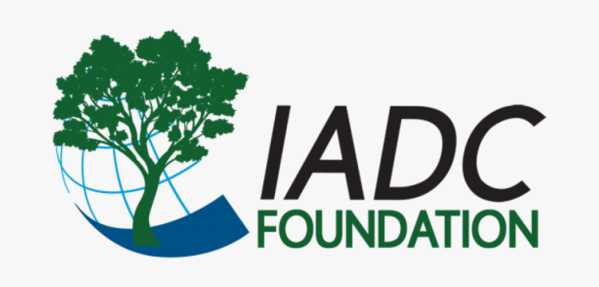 2017 Foundation Logo - Tree, HD Png Download
