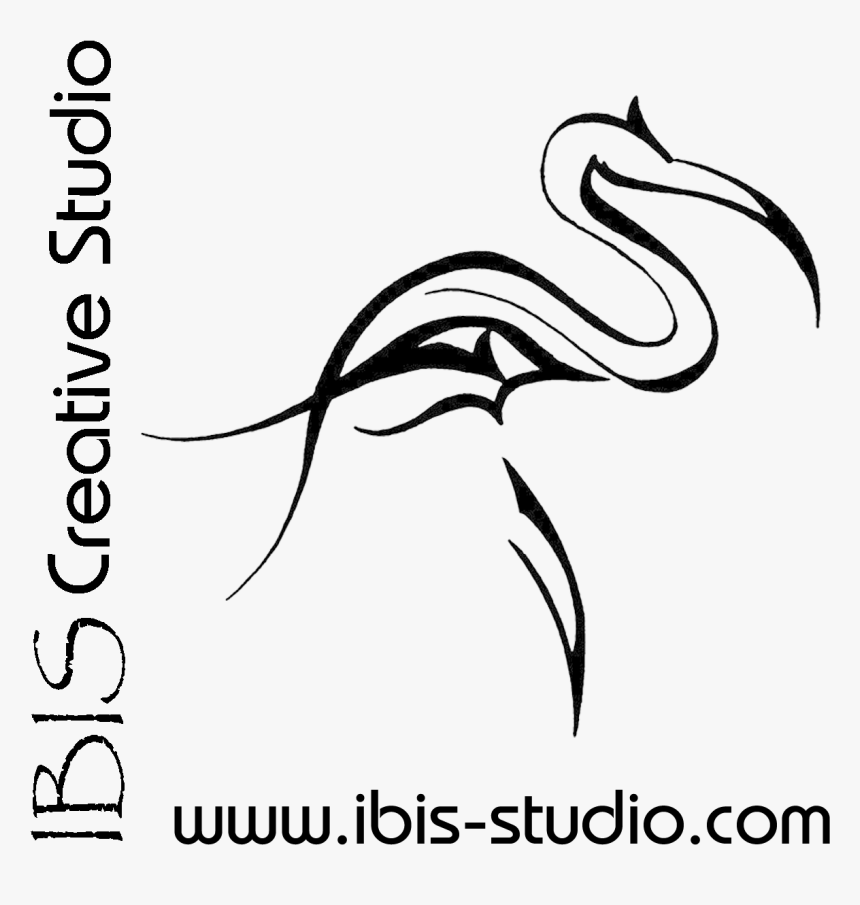 Seabird, HD Png Download