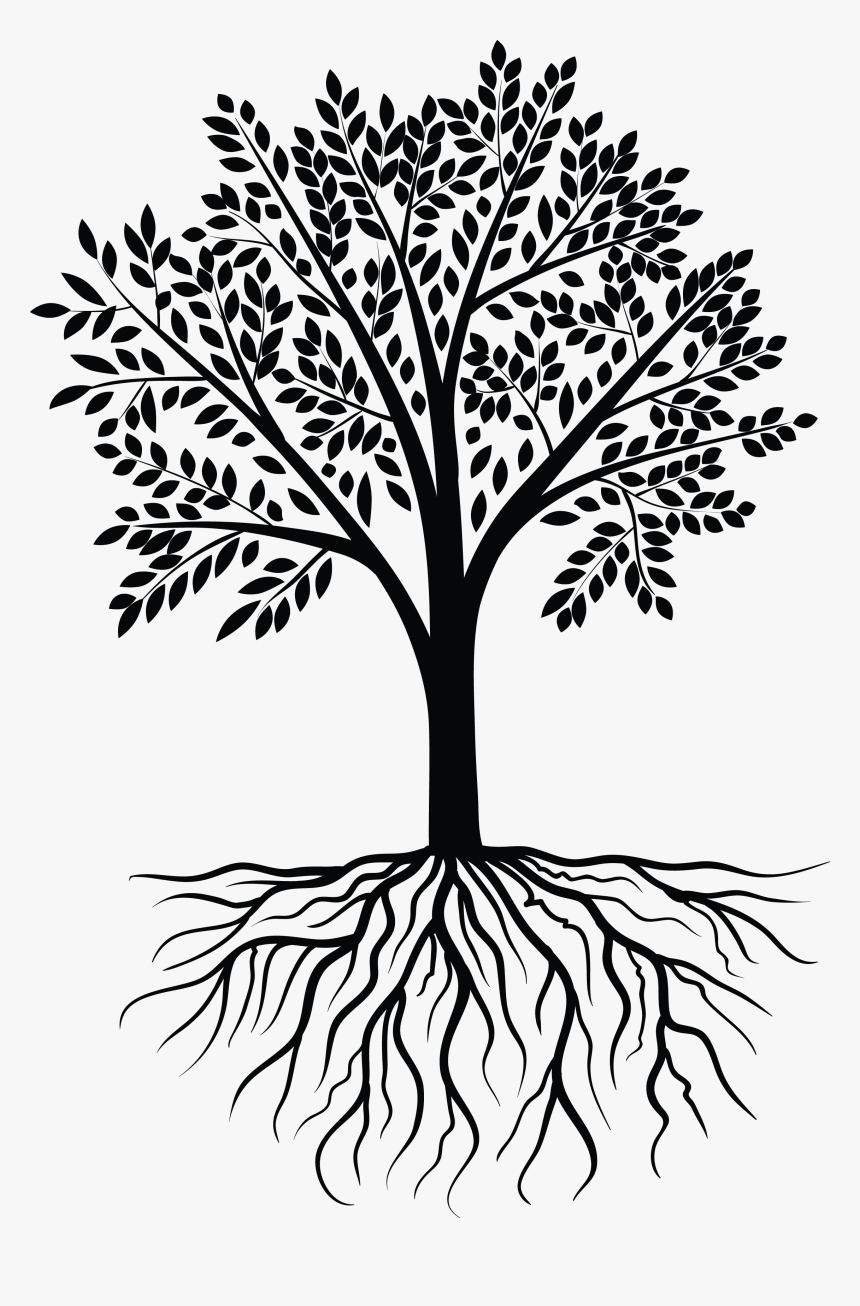 Vector Black White Design - White Tree Vector Png, Transparent Png