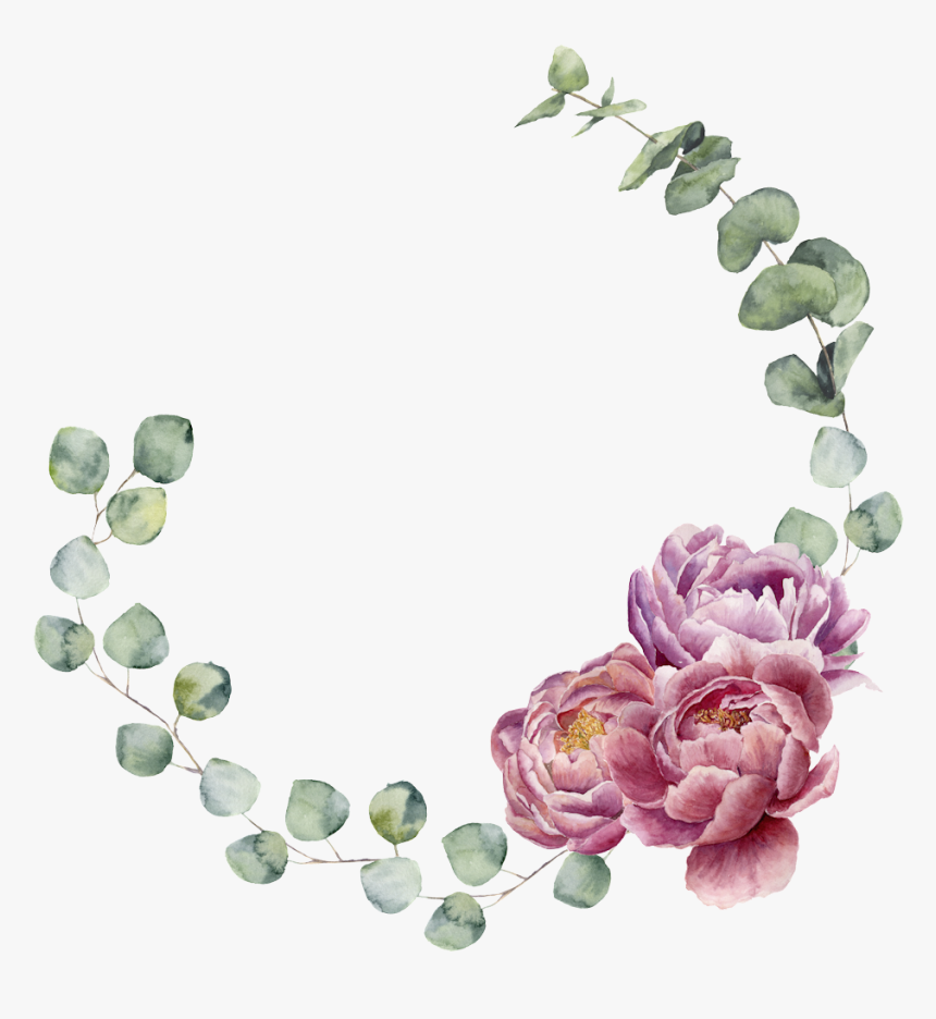 Eucalyptus Border Transparent Background, HD Png Download