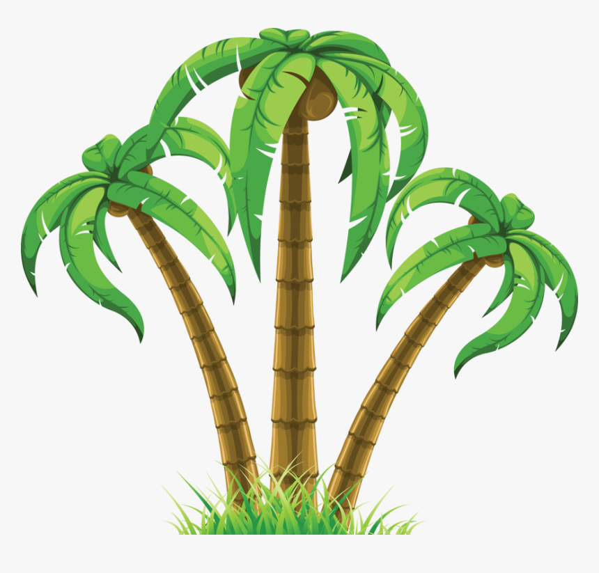 Group Of Three Palm - Tropical Tree Clipart, HD Png Download